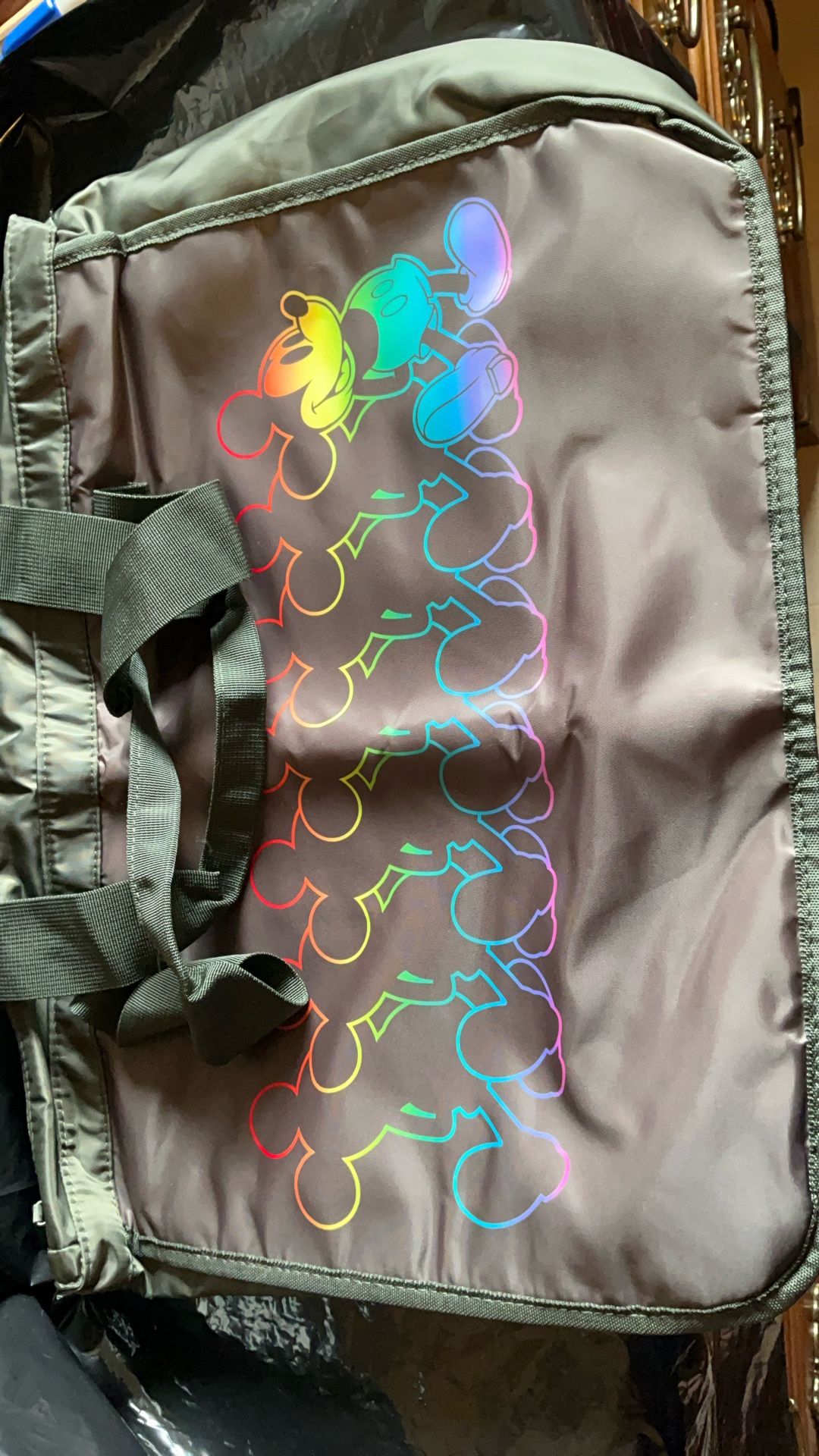 Disney Large Bag New New 24x16 Inches