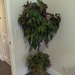 Fake Plant