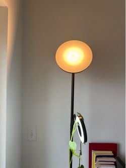 Modern LED Floor Lamp