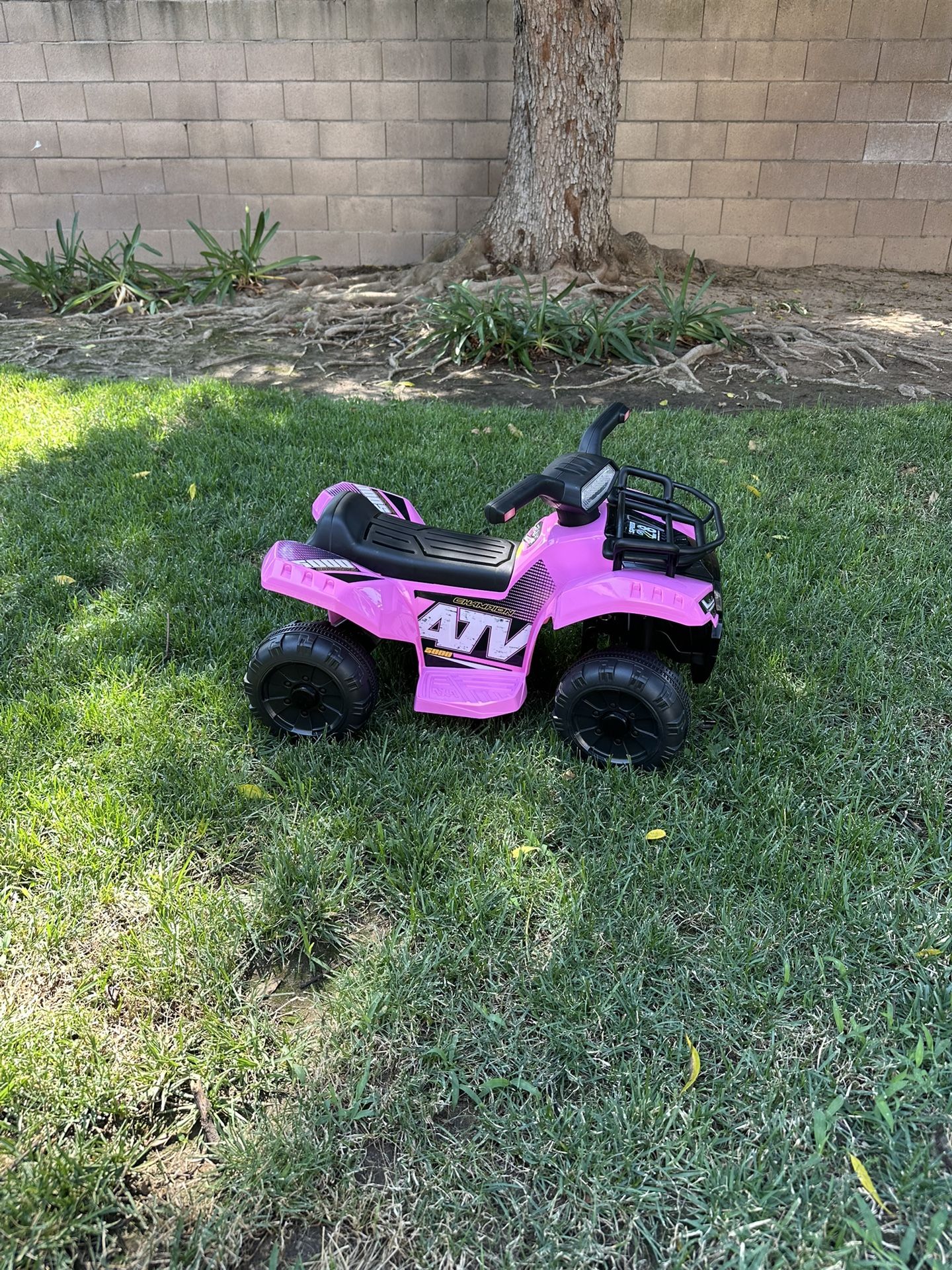 Toddler Motorized Quad
