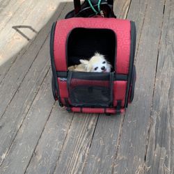 Dog Carriage , In Fantastic Great Condition 