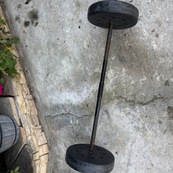 40 Lbs Barbell Weight