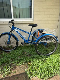 3- wheel  7 speed mountain bike