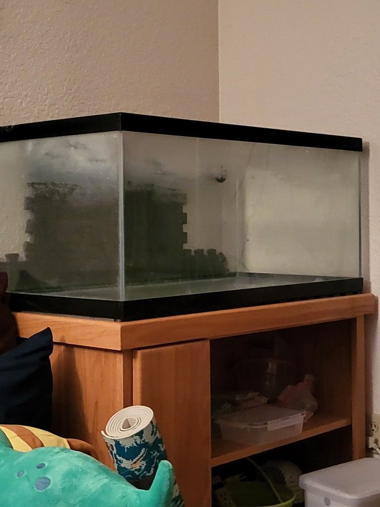 40 Gal Aquarium