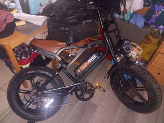 Electric bike