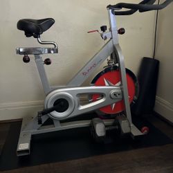 Sunny stationary Bike