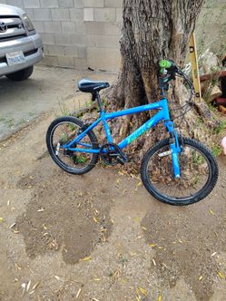 20 bike