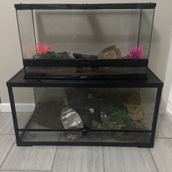 Two Reptile Aquariums 
