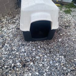 Dog House 