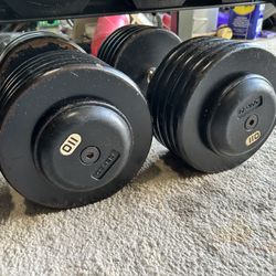 110 Lbs Dumbbells 