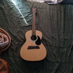 Acoustic Guitar