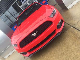 Mustang brand new