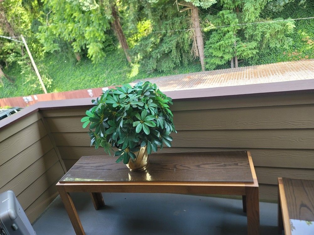 A Beautiful Bench Table - Hard Wood