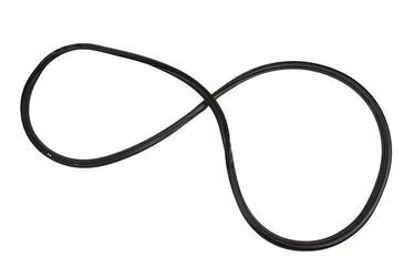 Genuine GM Rear Side Door Weatherstrip