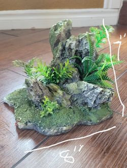 Thirteen Aquarium Plants 