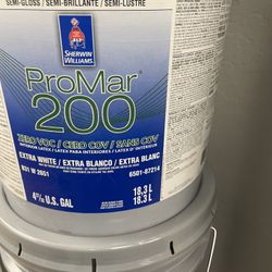 Extra White Paints Primer 