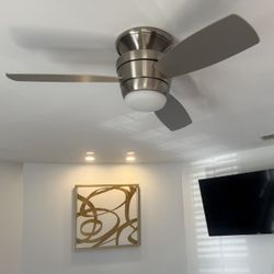 Silver Ceiling Fan