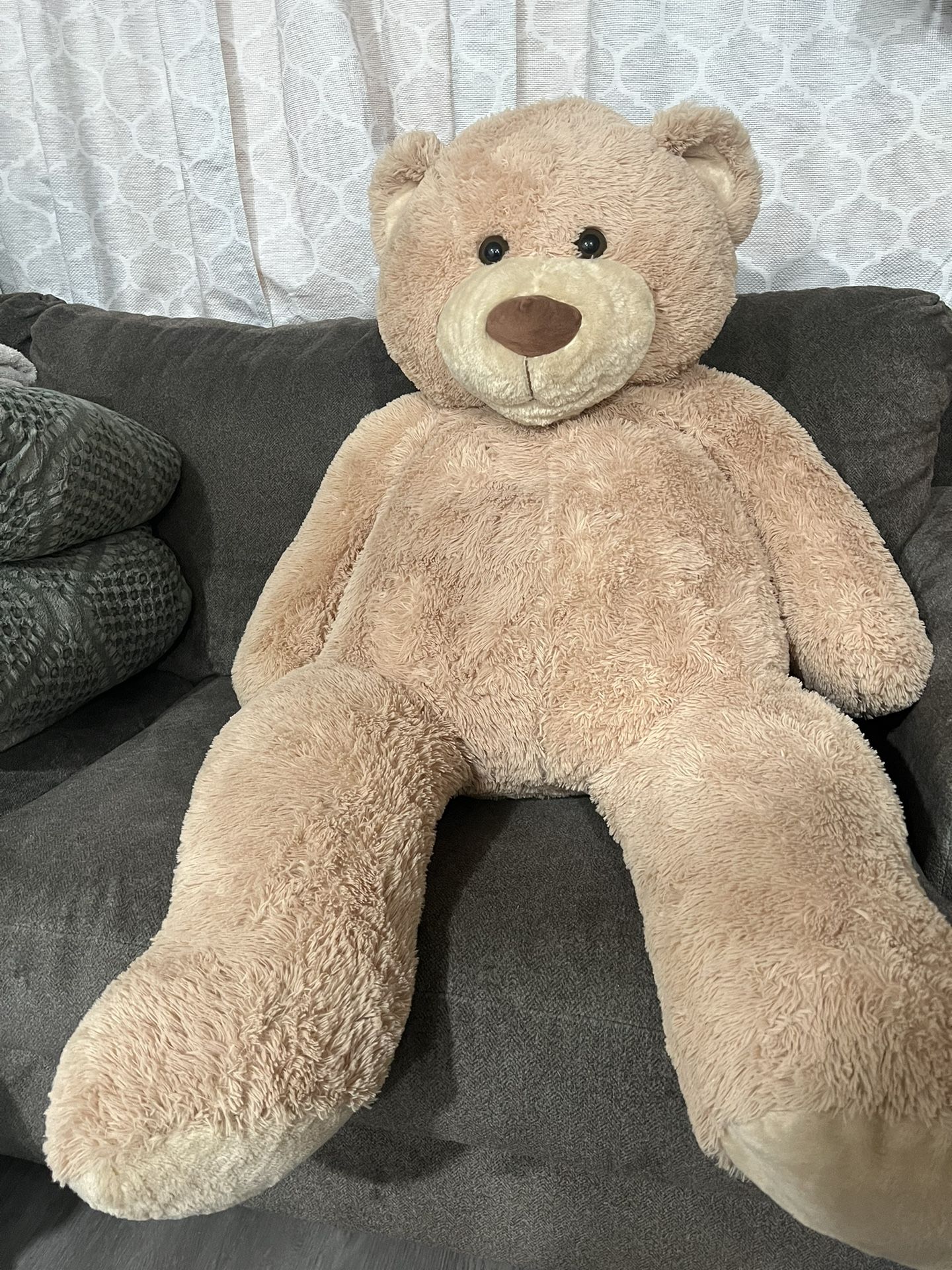 Giant Teddy Bear