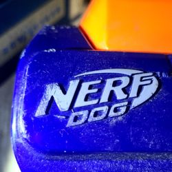 Nerf Dog 