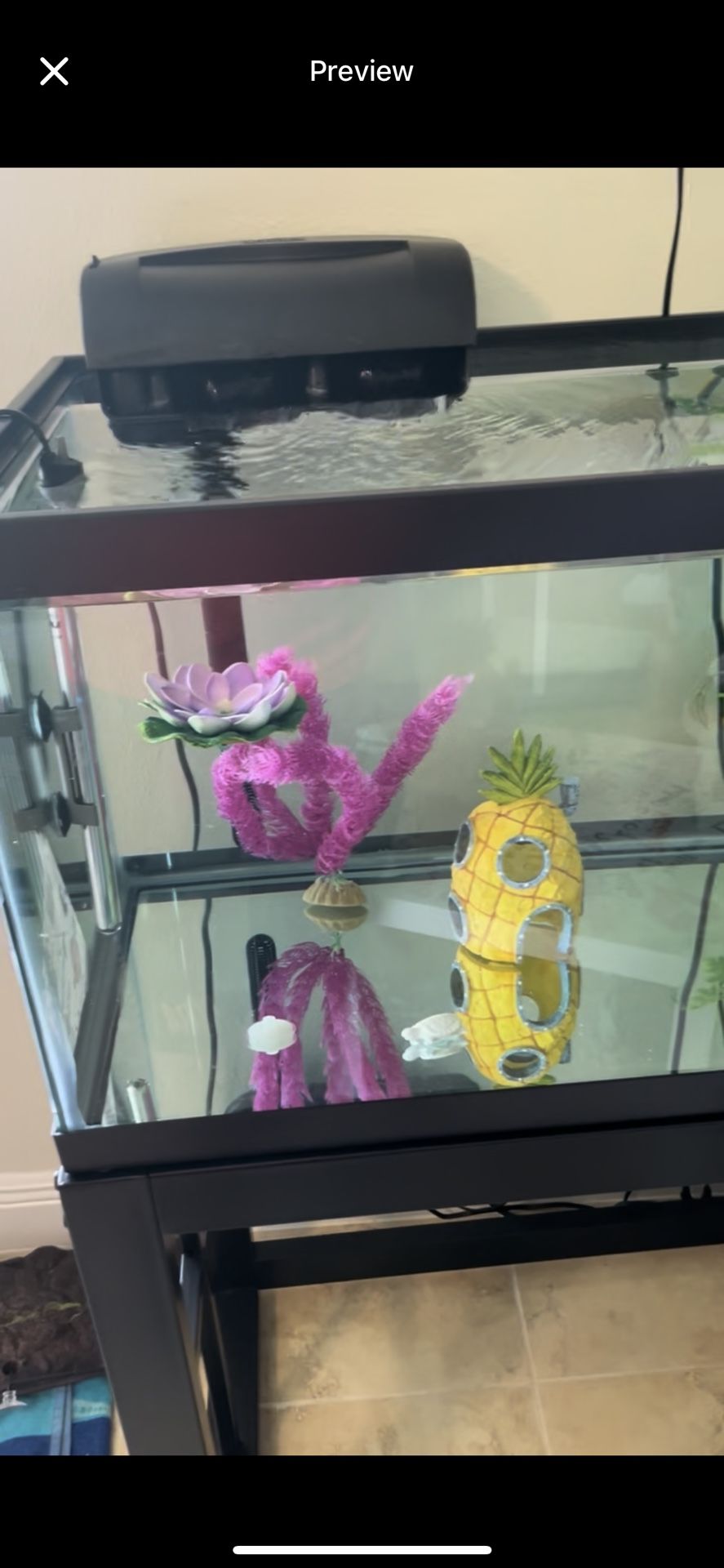 40 Gal fish tank with stand