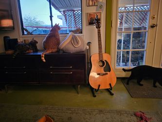 Ibanez guitar