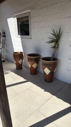 3 pots, 1 with plant