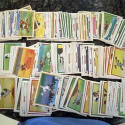 Baseball Cards/Looney Tunes Characters