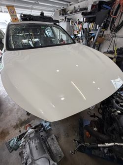 2014-2024 Infiniti Q50 Hood White, Silver, Black Gray 