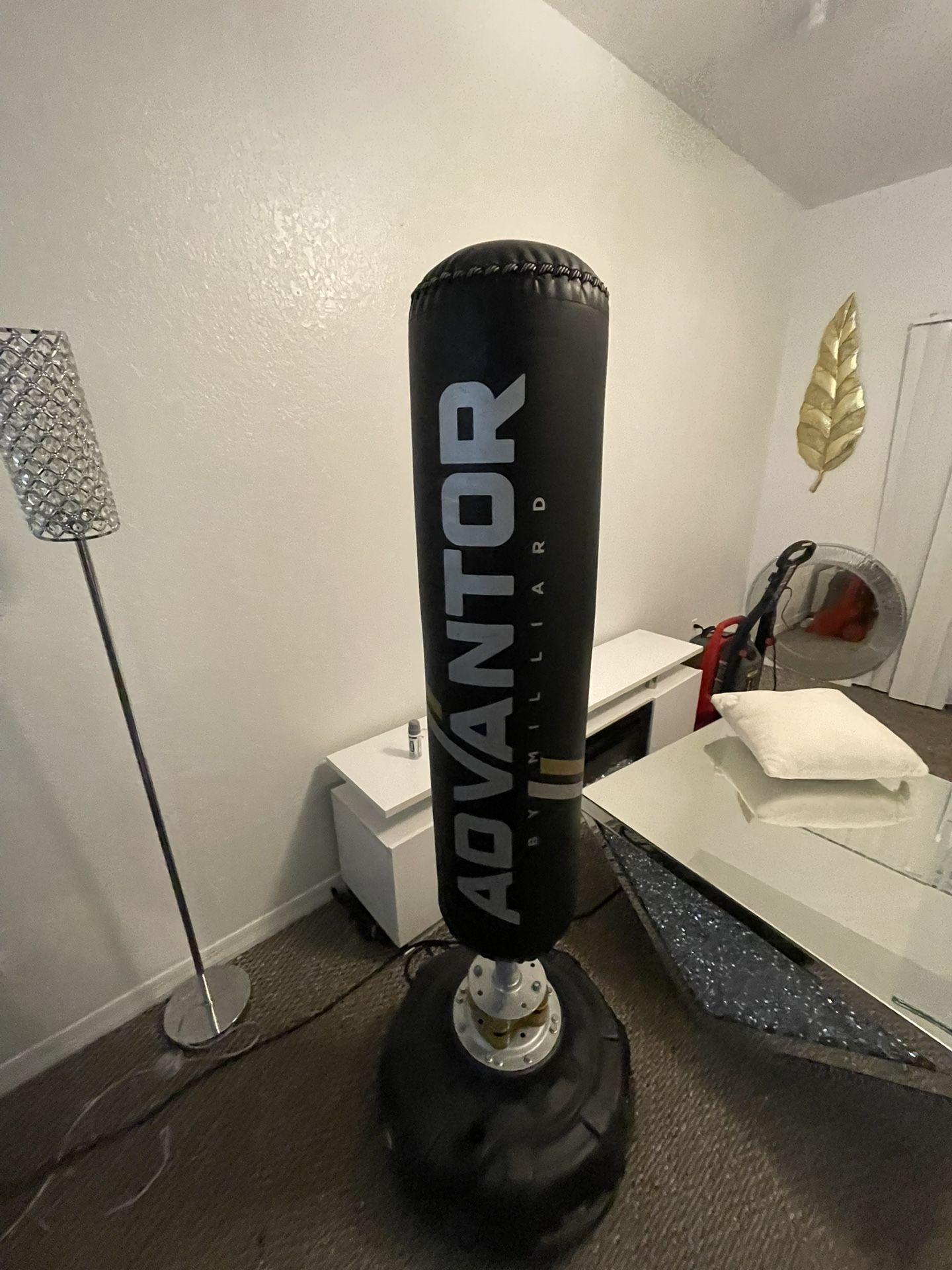 ADVANTOR punching Bag !