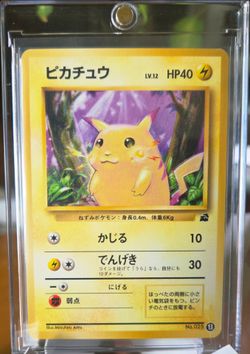 Japanese Pikachu pokemon