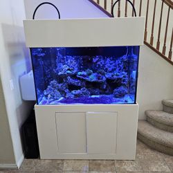 150 Gallon Salt Water Tank