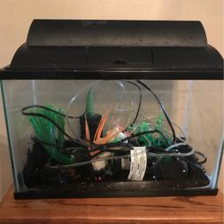 5 Gallon Aquarium And Supplies