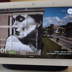google nest hub