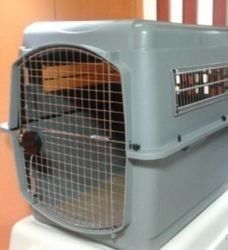 Medium Dog Crate Kennel Carrier Cage