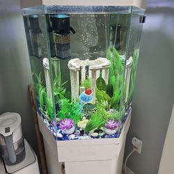 Complete Fishing Tank 