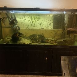 210 Gallon Aquarium Fish Tank With Stand 