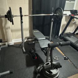 Gym Equipment