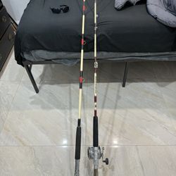 2 Fishing Rods 1 Reel