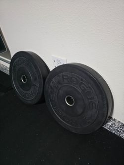 Rogue 45 lb Bumper Plates – Pair