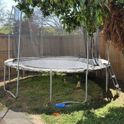 Free Trampoline 