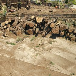 Free Firewood 