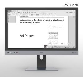 25.3-inch E-Ink Monito dasung 