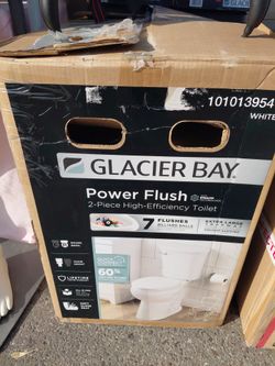 GLACIER BAY  POWER FLUSH TOYLET