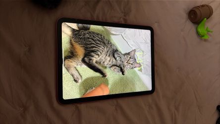 Apple iPad 11-inch Wi-Fi 256BG (2025, 11th generation) - Pink