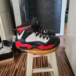 Nike Air Darwin (Dennis Rodman) Great Cond Sz 9.5 $120