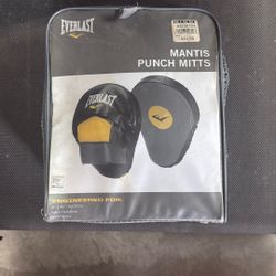 Everlast Punching Bag Mitts