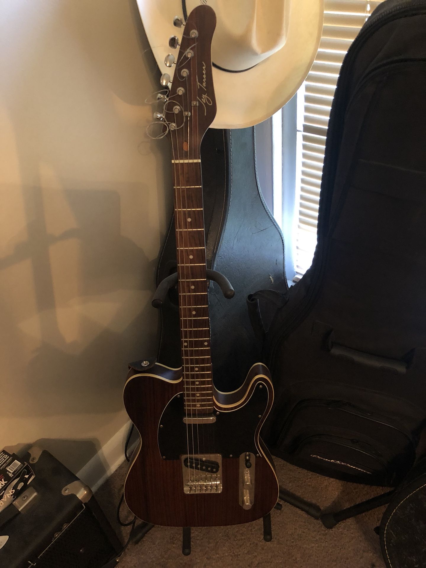 Jay turser rosewood telecaster
