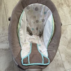 Baby Bouncer
