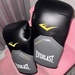 Everlast Pro Style Elite boxing gloves