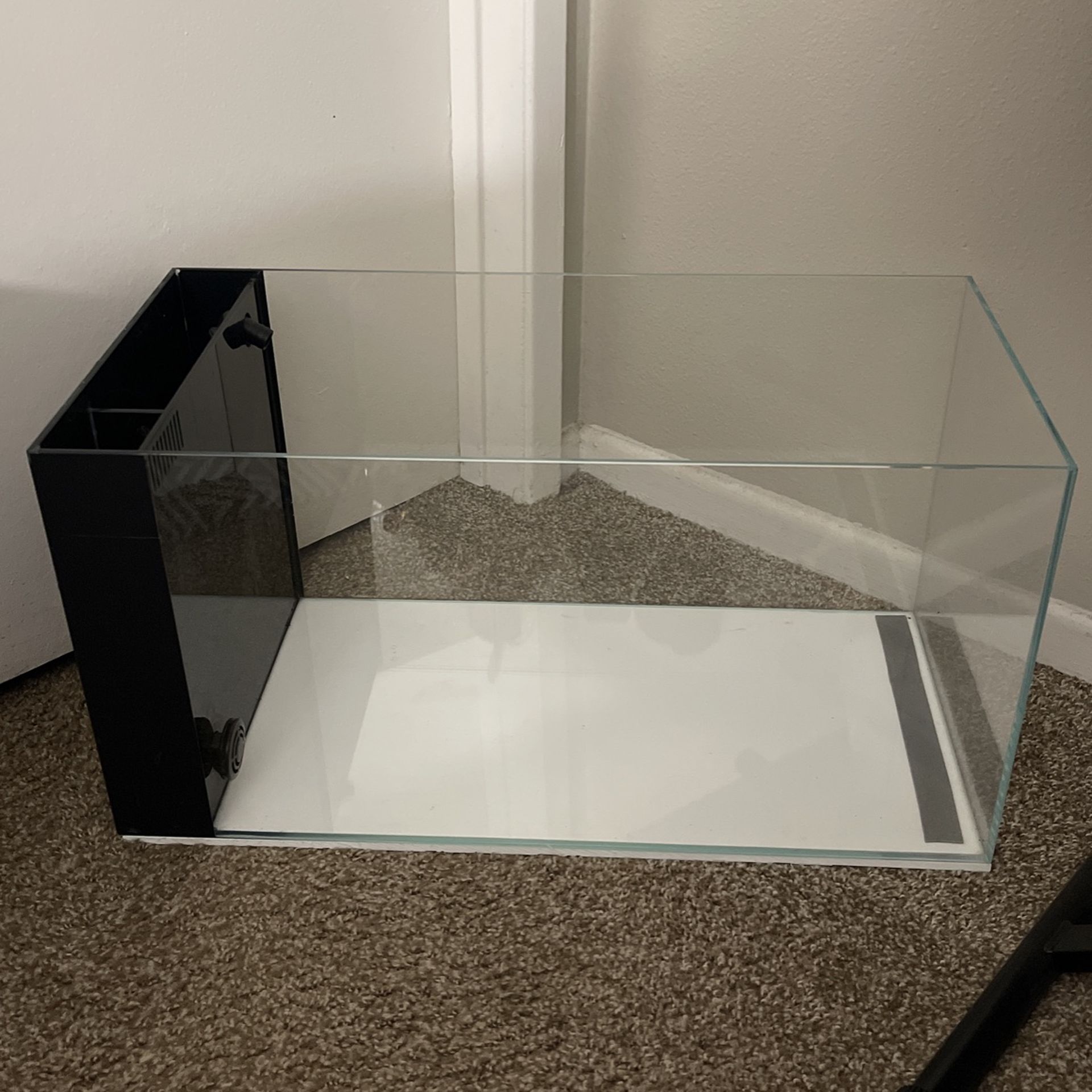 New Fish Tank